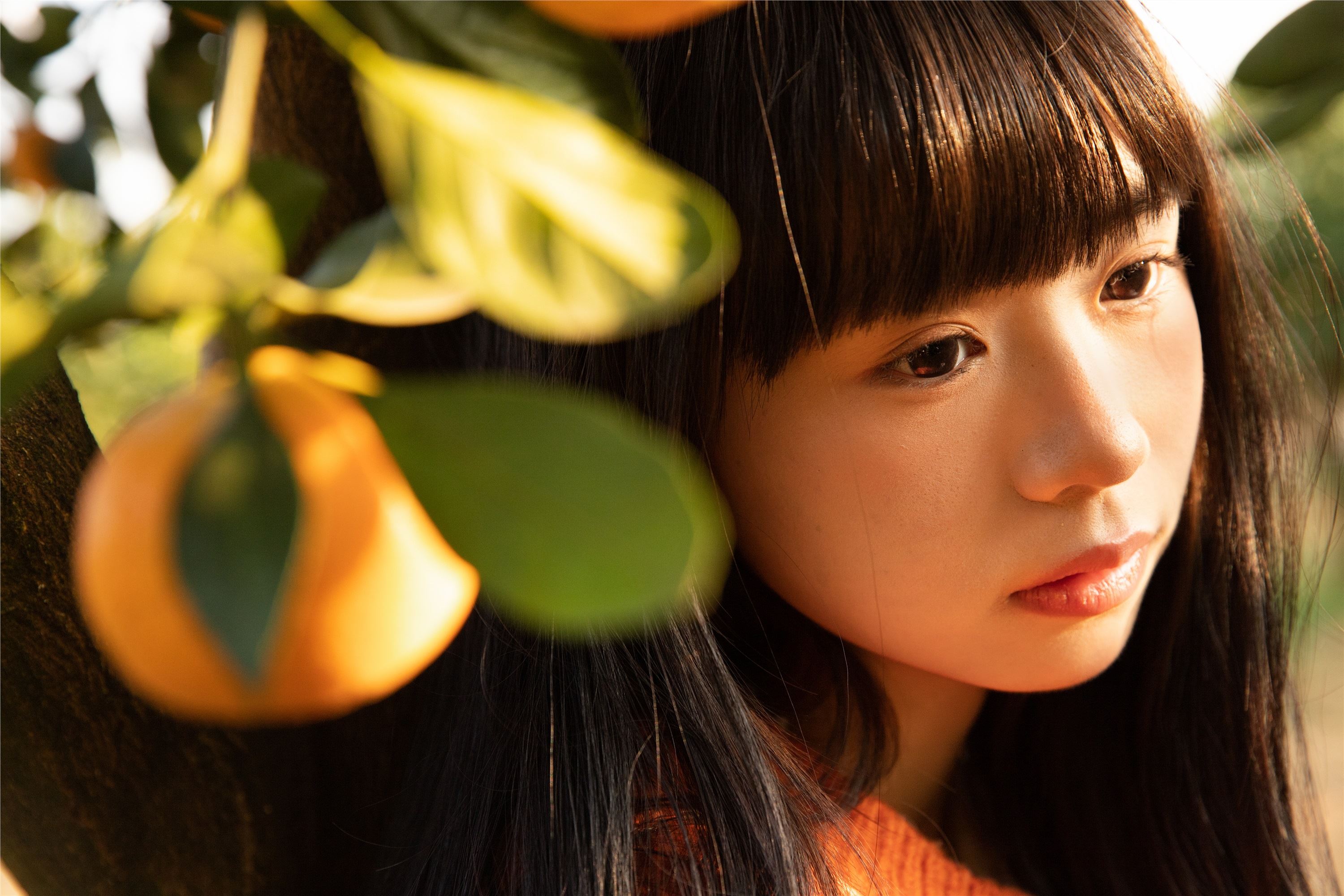 YITUYU艺图语 2025.02.03 橘子辉煌 是三金呀